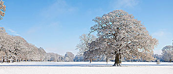 卡洛斯率队获得胜利，进入亚冠决赛！