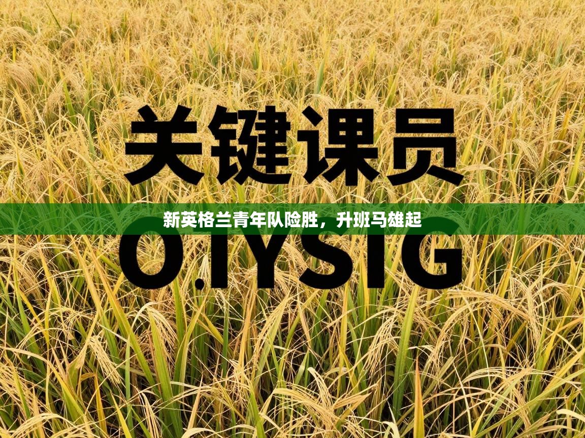 新英格兰青年队险胜，升班马雄起